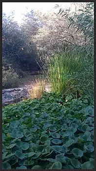 633f38_25c522513ab345adaf0e14dc20660089