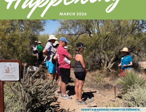 What’s Happening in March?